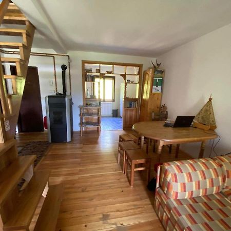 Mystic Forest Hostel Mitrovac Zewnętrze zdjęcie