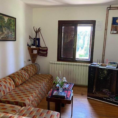 Mystic Forest Hostel Mitrovac Zewnętrze zdjęcie